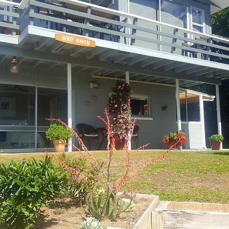 Bird Haven Bed & Breakfast Coromandel Exterior photo