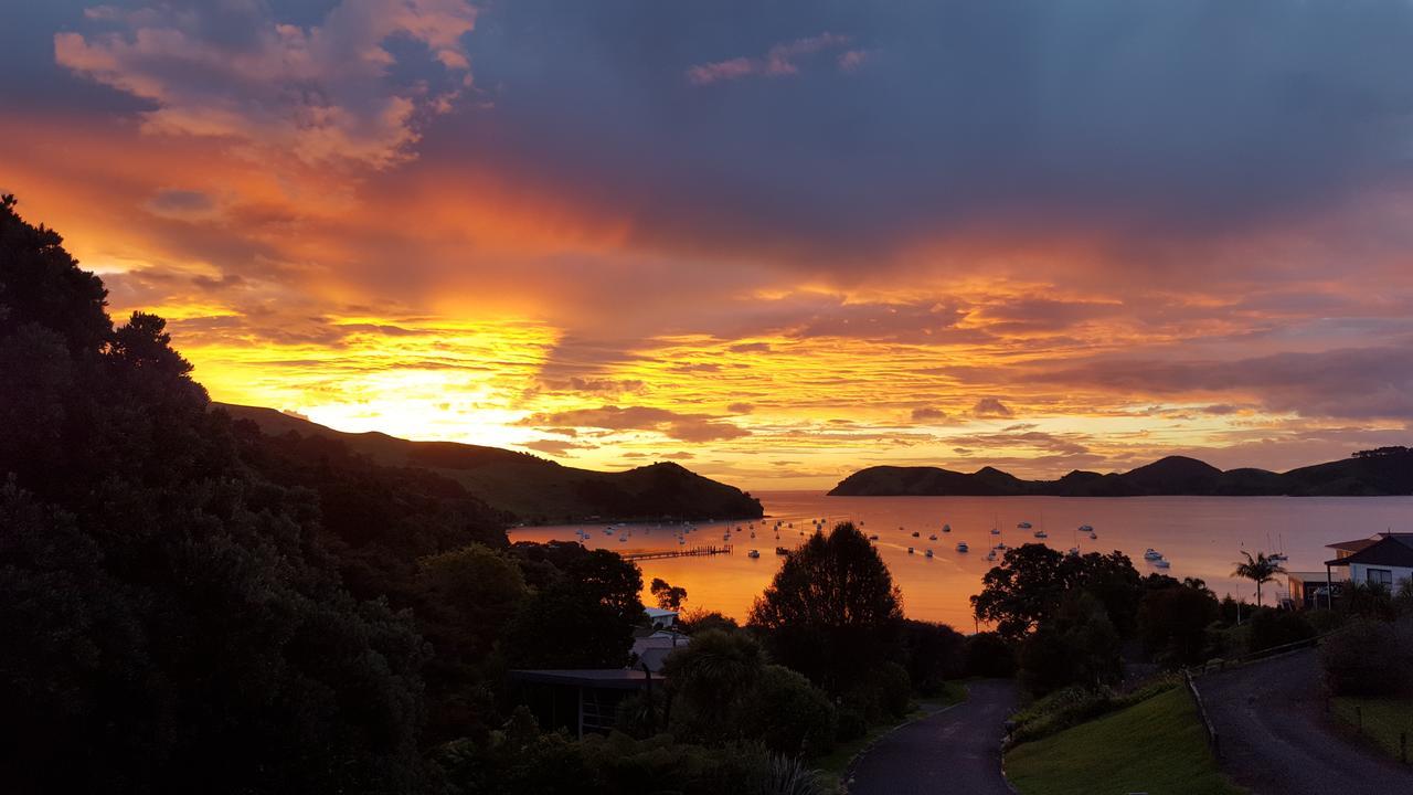 Bird Haven Bed & Breakfast Coromandel Exterior photo